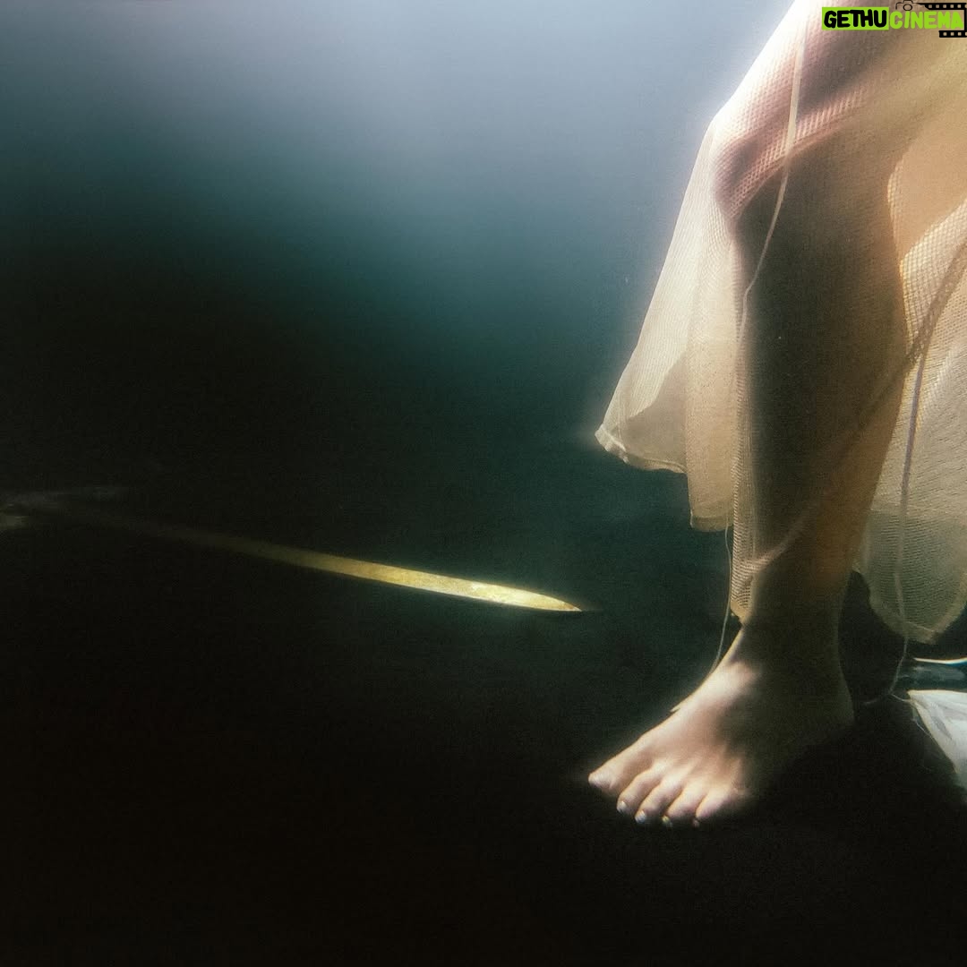 Javiera Mena - 12.6K Likes - En el mar de coral descender y nadar. Se viene mi séptimo disco en muy poco tiempo, esta vez desde las profundidades.
Les quería preguntar ¿Qué sintieron con Mar de Coral? ¿Qué les pareció el video? ¿Lo vieron?
Con amor
Javiera 🌊⋆。𖦹 °.🐚⋆❀˖°🫧
𓇼 ⋆.˚ 𓆉 𓆝 𓆡⋆.˚ 𓇼 ⋆ ݁𖥔🫧𓆝 𓆡⋆.˚ 𖦹 🐚
⋆.˚ 𓆉 𓆝 𓆡⋆.˚ 𓇼
𓇼 ⋆ ݁𖥔🫧𓆝 𓆡⋆.˚ 𖦹 🐚