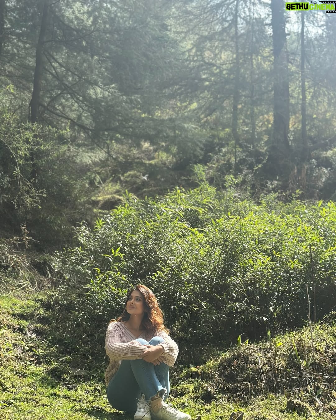 Jennifer Winget - 746.4K Likes - When work ends early…
Step 1: Explore.
Step 2: Take photos.
Step 3: Pretend I do this all the time!