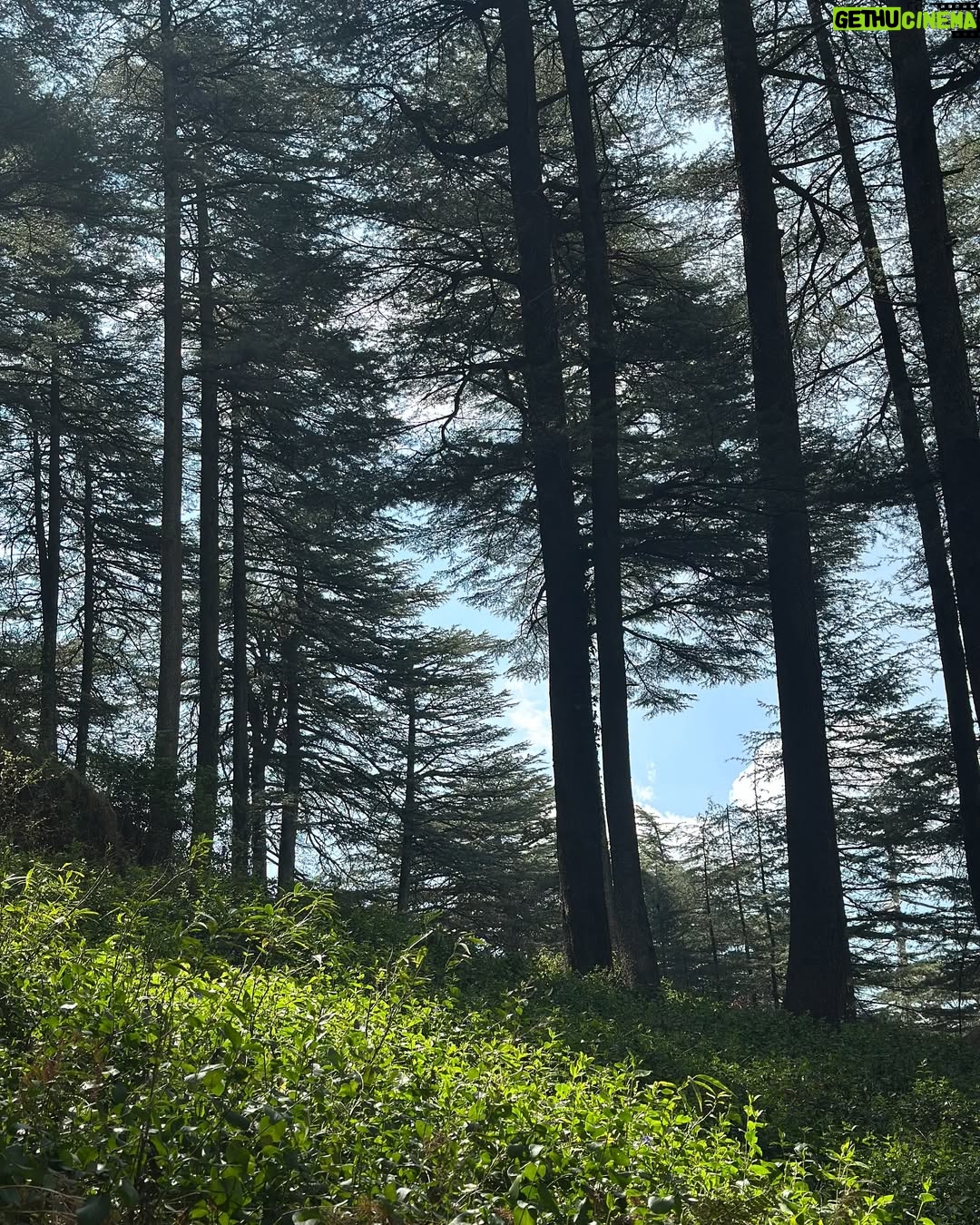 Jennifer Winget - 746.4K Likes - When work ends early…
Step 1: Explore.
Step 2: Take photos.
Step 3: Pretend I do this all the time!
