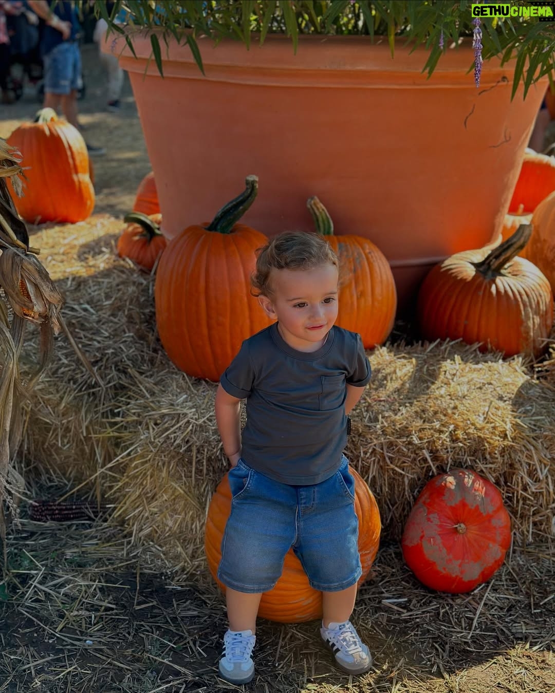 Jessica Azar - 14.6K Likes - 2 years of pure love!
Happy birthday to my sweet boy with the biggest heart and brightest smile.
From the moment I held you, you became my world. I love you more than words can say! ❤️