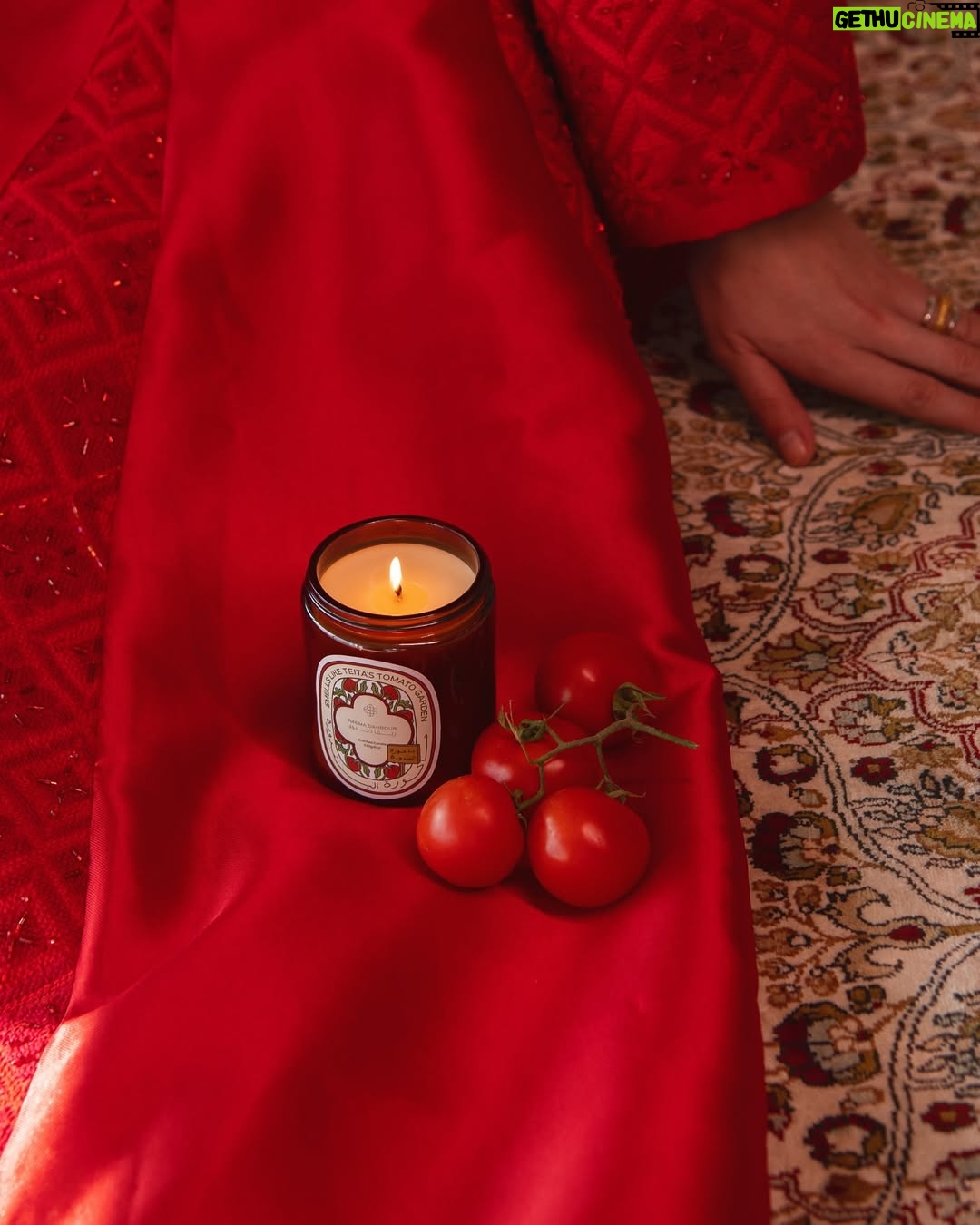 Joanna Arida - 18.8K Likes - a lady in red
🍁🕊️🍊🕯️

photography @zaidallozi 
makeup & hair @lauramadarr 
creative & styling @jad.toghuj 
set design @eyadjammal
brand & packaging design @abeer.m.anabtawi