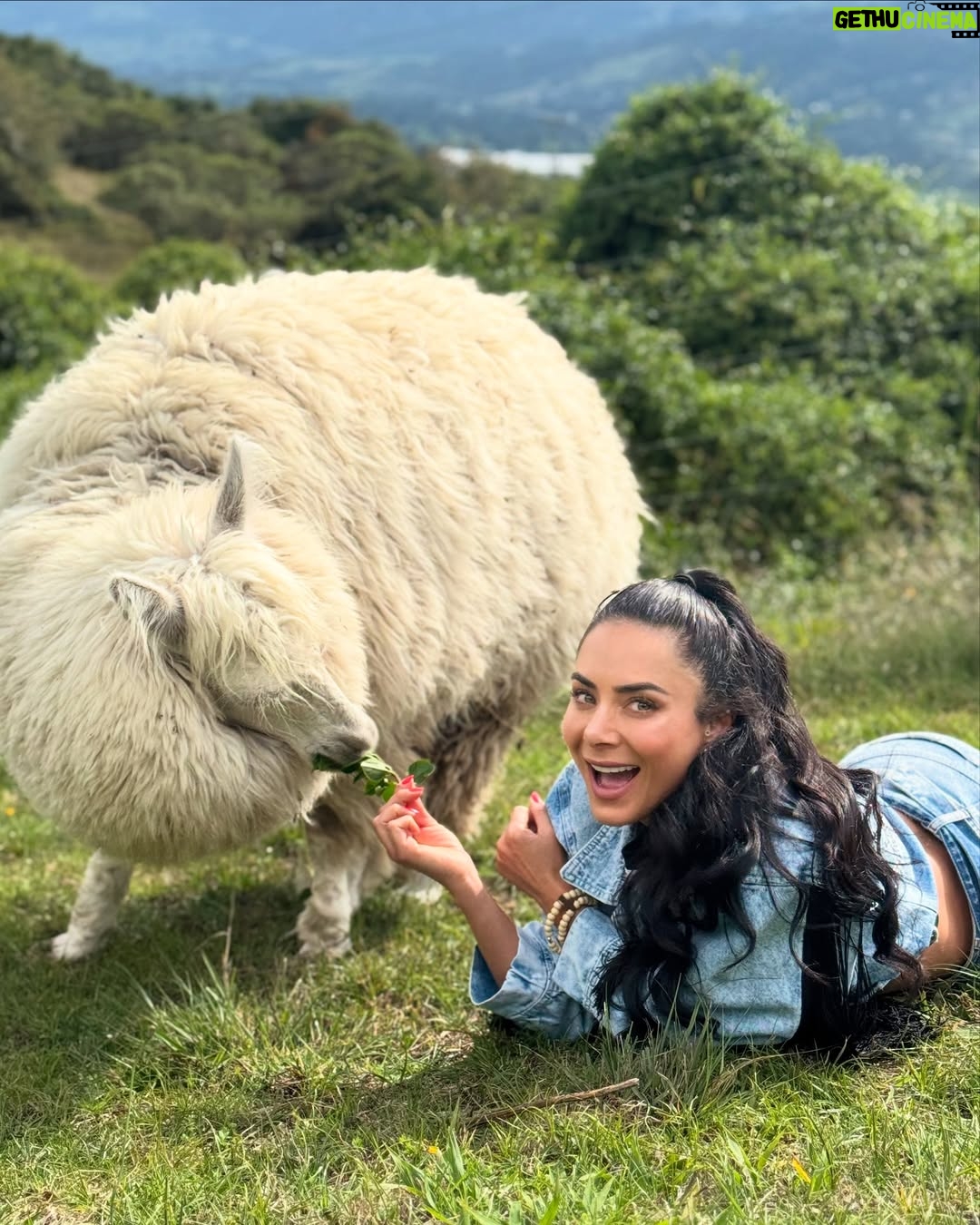Johanna Fadul - 31.2K Likes - Un día sabroso en @islamoradasopo con la mejor compañía “LaFamilia” 💜🦋