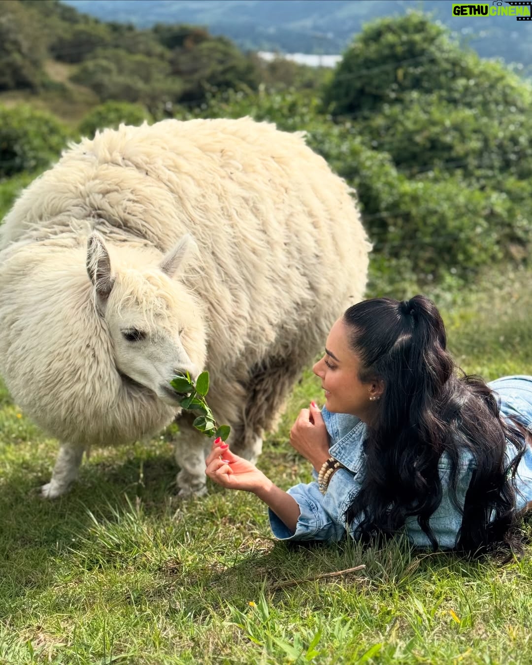 Johanna Fadul - 31.2K Likes - Un día sabroso en @islamoradasopo con la mejor compañía “LaFamilia” 💜🦋