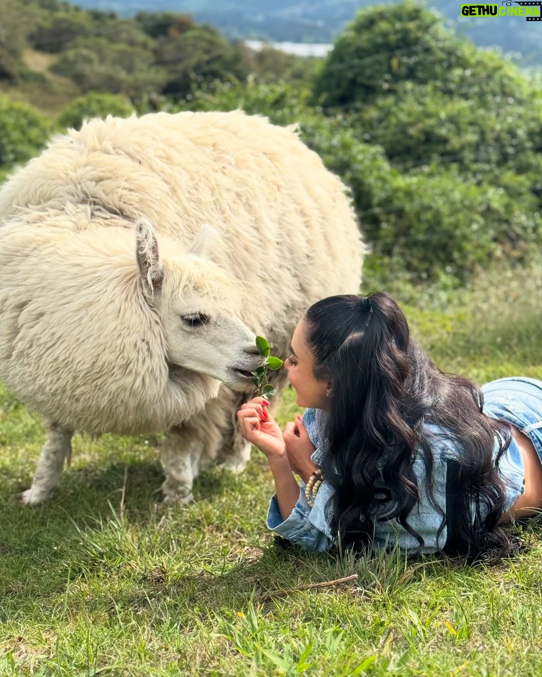 Johanna Fadul - 31.2K Likes - Un día sabroso en @islamoradasopo con la mejor compañía “LaFamilia” 💜🦋