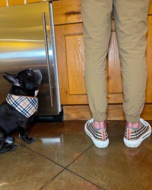 Josetty Hurtado Instagram - My little family 🤎 Palm Springs for the weekend 🏜️ 

#burberry #palmsprings #frenchbulldog #frenchiesofinstagram #frenchie #labubu #california #family