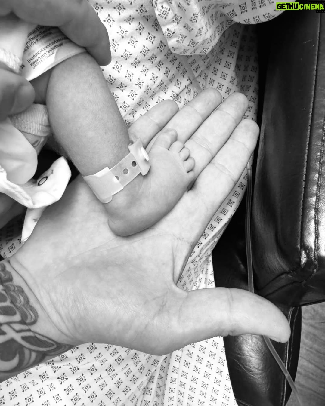 Jowy Khoury - 18.9K Likes - After the devastating loss of our son Neel in 2020, Jo and I decided to be child free by choice . But God had other plans for us 🌟 He sent us a little piece of heaven to treasure and love 🩷🙏
Zana Gianna was born 3 July -2024
زانا جيانّا 🩷
#godprotects
#blesses
🙏 #لتكن_مشيئتك
#ادعولنا
#newchapter
#rainbowbaby