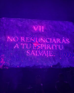 Juanita Arias Instagram - ESTE CONCIERTO MERECE UN POST QUE QUEDÉ AQUÍ POR SIEMPRE ! 
1: @shakira Una DIOSA bailando como NADIE 🇨🇴💃🏼
2: Pies Descalzos ;Me Acuerda mi niñez 🥹
3: Ese Pelo, con esas Caderas son Insuperables.
4: SHAKI - orgullosamente LATINA 
5: HIPS DONT LIE - Nos falta pero ahí vamos 🤣💃🏼
6: Cuando salí en la pantalla como su super Fan 😂
7: También se pasa rico soltera 😎
8: Fact: Las Mujeres somos las de la Intuición 
9: La Caída no es el final, es el comienzo de un vuelo más alto
10: Fact: La verdad Esq también lloro una vez al mes
11: The GIRLS 👯‍♀️
12: INEVITABLE no cantar esta canción a todo Pulmón 
13: JAMÁS : Renunciar a tu espíritu salvaje 🐅