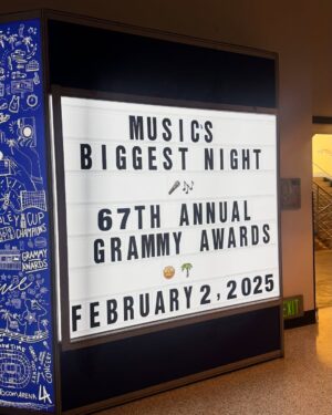 Julissa Bermudez Instagram - @valentino.beauty took me and my curls to the Grammys 💃🏽