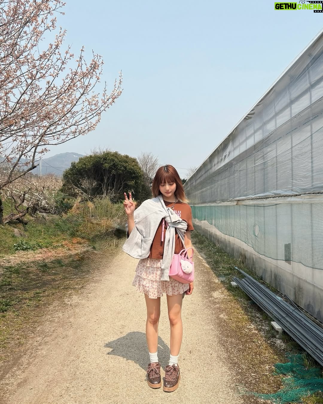 Kalen Anzai - 5.8K Likes - .
これは先週いちご狩りをしたときの🍓
わりと毎年いちご狩りしてるけど
案外スグお腹いっぱいになっちゃって
毎年目標100個目指すけど
達成出来たことは一度もない˘ ᴗ ̫ ᴗ ˘
#いちご#ジャムは食べれない