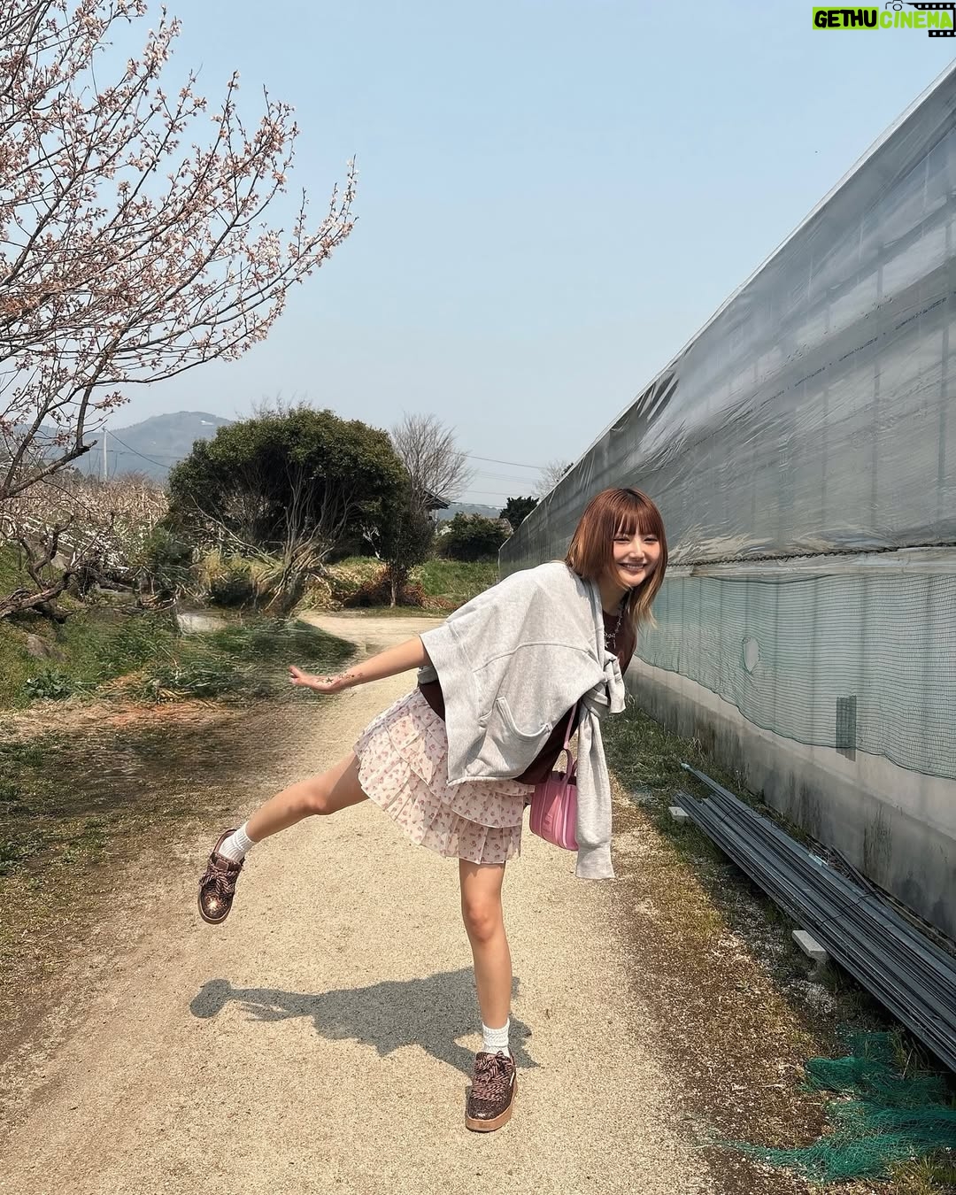 Kalen Anzai - 5.8K Likes - .
これは先週いちご狩りをしたときの🍓
わりと毎年いちご狩りしてるけど
案外スグお腹いっぱいになっちゃって
毎年目標100個目指すけど
達成出来たことは一度もない˘ ᴗ ̫ ᴗ ˘
#いちご#ジャムは食べれない