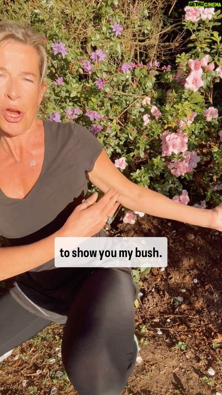 Katie Hopkins - 42K Likes - Batshit Bonkers Britain. On all fours in a field to show you my bush …