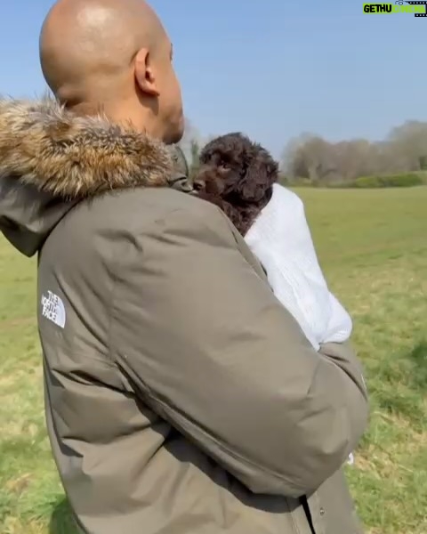 Katie Piper - 29.9K Likes - We have expanded our family⌠Introducing Sugar đśThe girls have wanted a brother or sister for so long and we wanted to make this happen. Our gorgeous girl came from @battersea Dogs & Cats Home and we are so happy to make our home, her new home. Big shout out to the amazing team @battersea for all the incredible work they do rescuing dogs and cats everyday. Now apologies in advance for all the puppy spam that is about to follow over the next few months đ