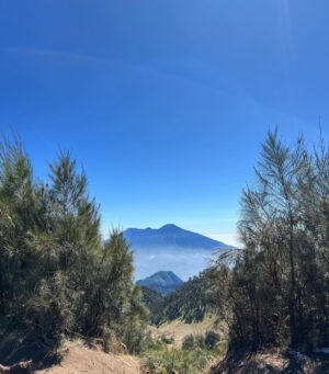 Keisya Levronka Instagram - HAAAAPPY another achievement unlooocked! 
sejak mini pgn bgt naik gunung, akhirnya berangkat dgn kesusu dan modal nekat. kerja, kerja, nongkrong, lalu mendaaki 9 10 jam tracking tp hepi sekalii 
id do it 1000x lagi 

⛺️ & pritilan @ciliwungcamp.rent selalu