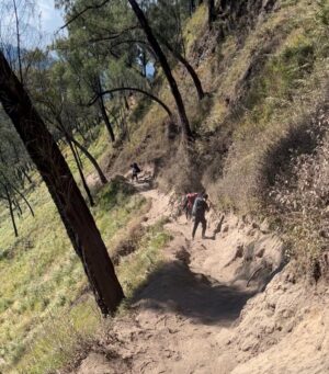 Keisya Levronka Instagram - HAAAAPPY another achievement unlooocked! 
sejak mini pgn bgt naik gunung, akhirnya berangkat dgn kesusu dan modal nekat. kerja, kerja, nongkrong, lalu mendaaki 9 10 jam tracking tp hepi sekalii 
id do it 1000x lagi 

⛺️ & pritilan @ciliwungcamp.rent selalu