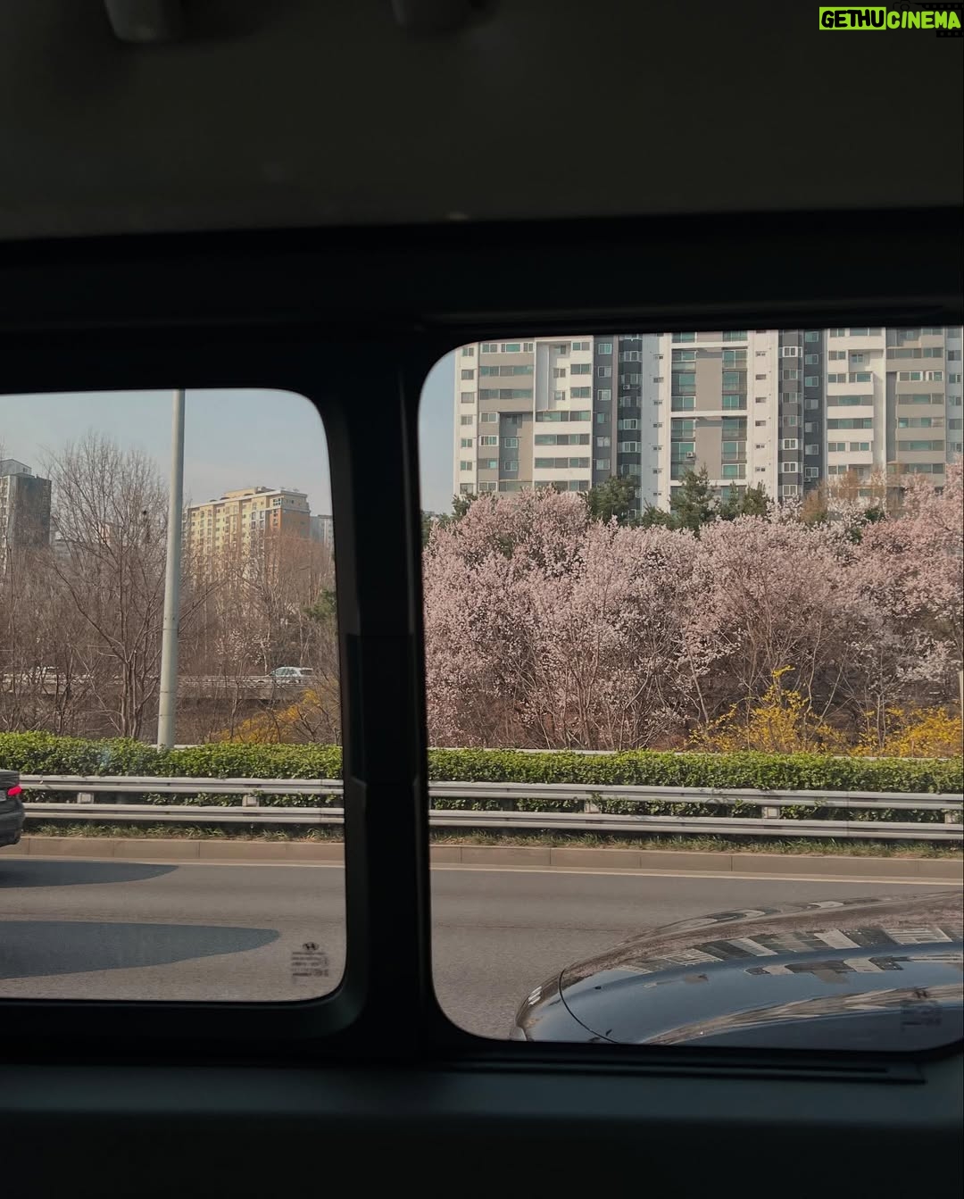 Kendra Sow - 4.3K Likes - 丟回昨天首爾day 1🇰🇷🤍