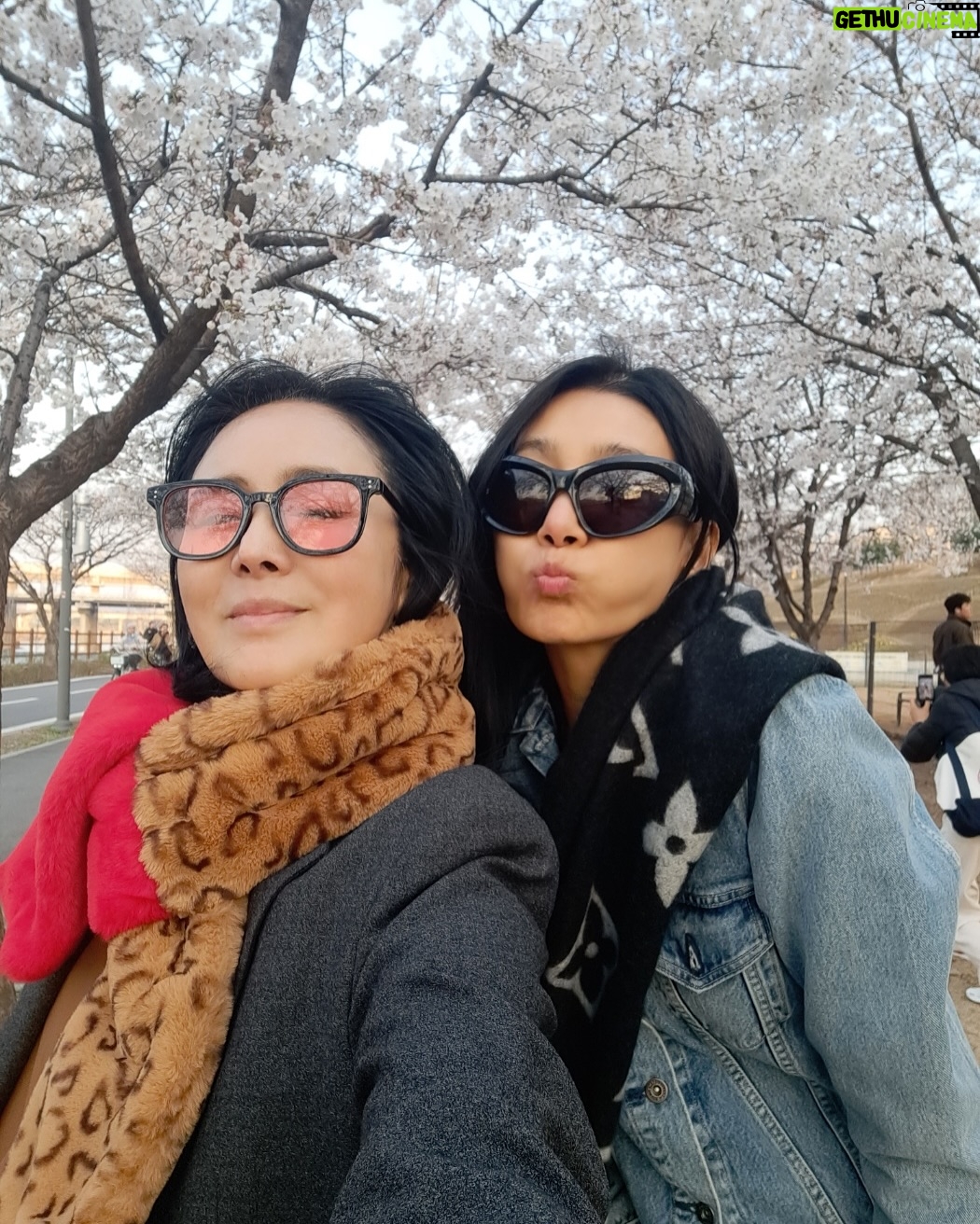 Kim Seo-hyung - 14.5K Likes - 언니의웨딩드레스는오래도록. 손시려🧤