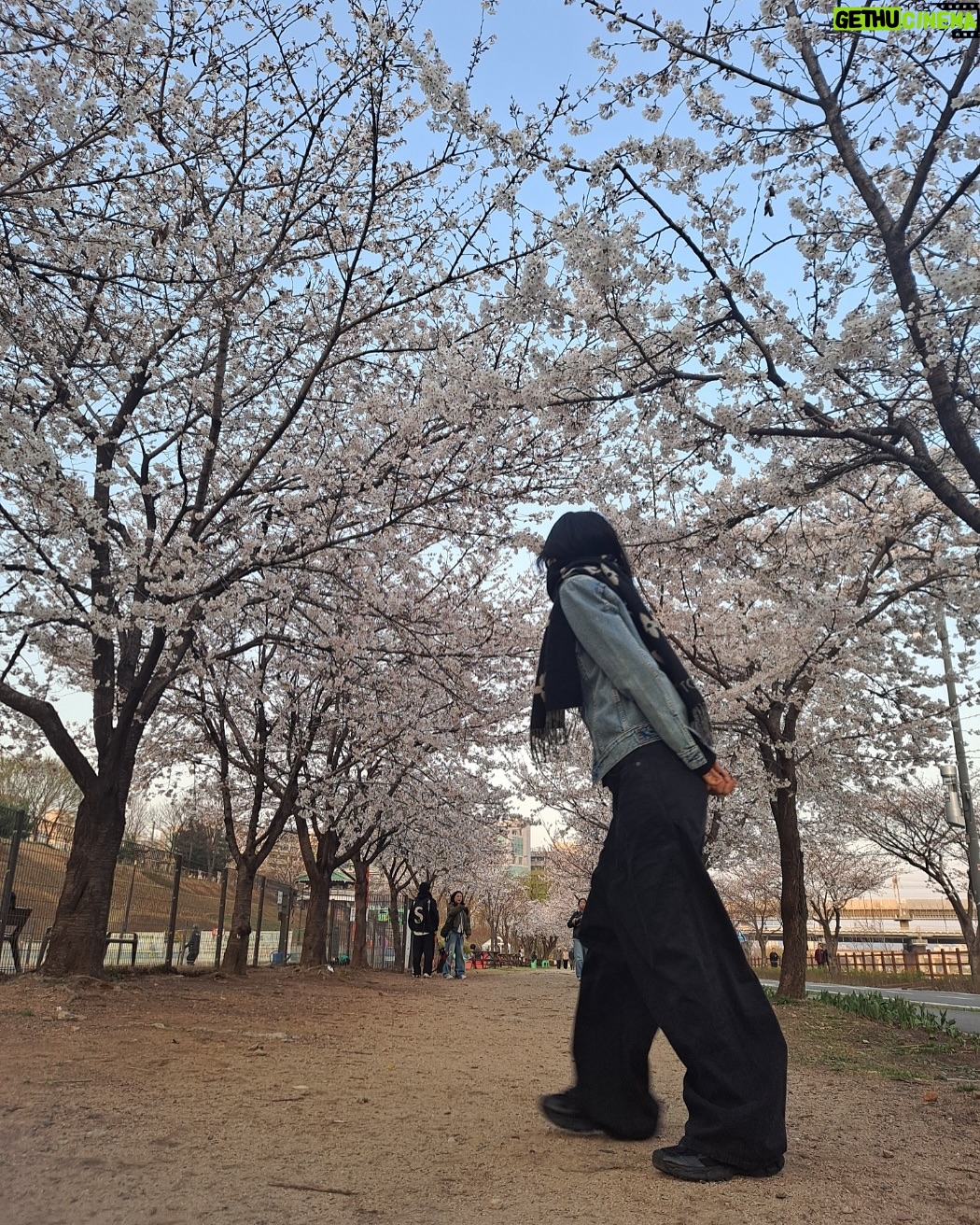 Kim Seo-hyung - 14.5K Likes - 언니의웨딩드레스는오래도록. 손시려🧤