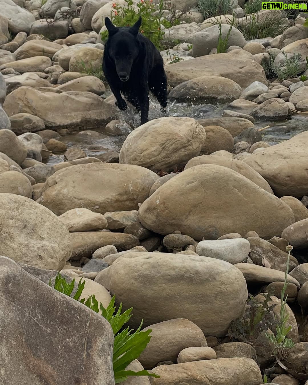Kimberly McCullough - 837 Likes - Out and about with my therapist #yourdailyjack