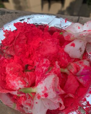 Koena Mitra Instagram - Happy Holi to everyone celebrating🥂🎊🔆❤️

#holi #indianfestivals❤️ #loveandlight❤️💫