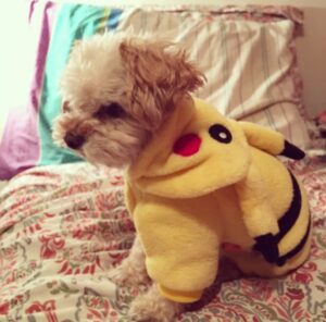 Krishna de Caso Instagram - Por siempre junto a mi 💚🐶😍