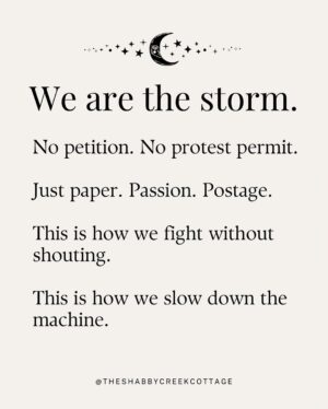 Kristin Bauer Instagram - All ya gotta do is mail something! This is HUGE!!! 
We all want to know what we can do, just write a postcard or a letter! 
I’m using the postcards from @signsofjustice (see posts in my feed).

This is just not the time to do nothing. 🙏💓🙌

RP @theshabbycreekcottage 

Project Mail Storm is officially rolling.

We’re flooding the system with handwritten letters - day after day, generation by generation. 

Not to yell, not to beg… just to apply peaceful, relentless pressure in the one place they can’t ignore: the mailroom.

You don’t have to be an expert. You don’t need the perfect words.

You just need a stamp, an envelope, and the courage to keep showing up.

📬 Write once a week. Or every damn day. 💌 Send it in a sparkly envelope or on the back of your junk mail. 🌀 Just keep mailing.

Because together? We are the storm.