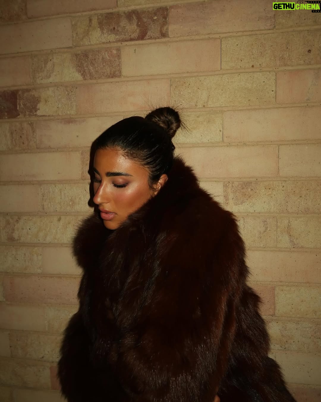Laila Abdullah - 14.8K Likes - Collection of current vibes 🦖🪐🥮