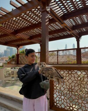 Laila Abdullah Instagram - Collection of current vibes 🦖🪐🥮