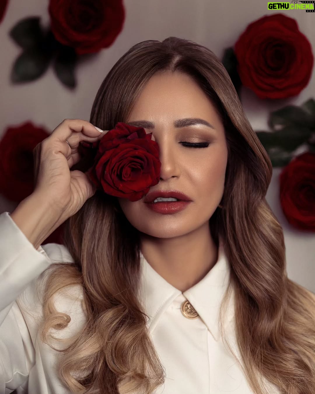 Laila Elwi - 39.5K Likes - ♥️🌹كل عيد حب و كل اللي بنحبهم بخير
MUA & Hair: @alsagheersalons
Photographer: @muuhamedyuusry
Retouch: @karioofficial
Production: @brandstampmedia