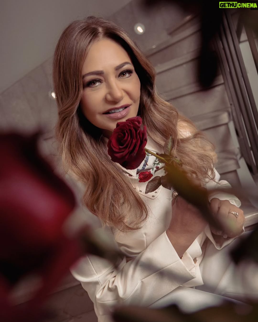 Laila Elwi - 39.5K Likes - ♥️🌹كل عيد حب و كل اللي بنحبهم بخير
MUA & Hair: @alsagheersalons
Photographer: @muuhamedyuusry
Retouch: @karioofficial
Production: @brandstampmedia