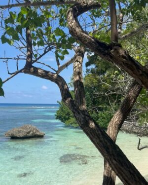 Laura Bailey Instagram - The last time I went to Jamaica I was 24 or 25 but the island got a hold of my heart. 
A dream to return with my kids, friends & family. 
Everything & nothing has changed.

‘Jamaica has this powerful life force, and it can take hold of you like reggae does. Sometime people  don’t want to leave the island, sometimes it’s  like the island doesn’t want you to leave..’.. Grace Jones ✨

Last snap @leonanaess @vanina_sorrenti ~ 
Just kids, just love. #90s
& L ~ I can’t find the one of us acting serene rowing up the crocodile river but I’m just so glad & grateful Jamaica was our first date. 🇯🇲🤍

Slide 2 - Luc by Mick @mick.paley ✨ Button Beach.