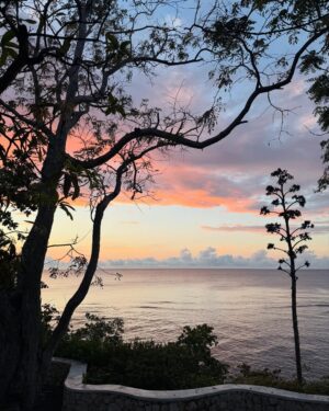 Laura Bailey Instagram - The last time I went to Jamaica I was 24 or 25 but the island got a hold of my heart. 
A dream to return with my kids, friends & family. 
Everything & nothing has changed.

‘Jamaica has this powerful life force, and it can take hold of you like reggae does. Sometime people  don’t want to leave the island, sometimes it’s  like the island doesn’t want you to leave..’.. Grace Jones ✨

Last snap @leonanaess @vanina_sorrenti ~ 
Just kids, just love. #90s
& L ~ I can’t find the one of us acting serene rowing up the crocodile river but I’m just so glad & grateful Jamaica was our first date. 🇯🇲🤍

Slide 2 - Luc by Mick @mick.paley ✨ Button Beach.