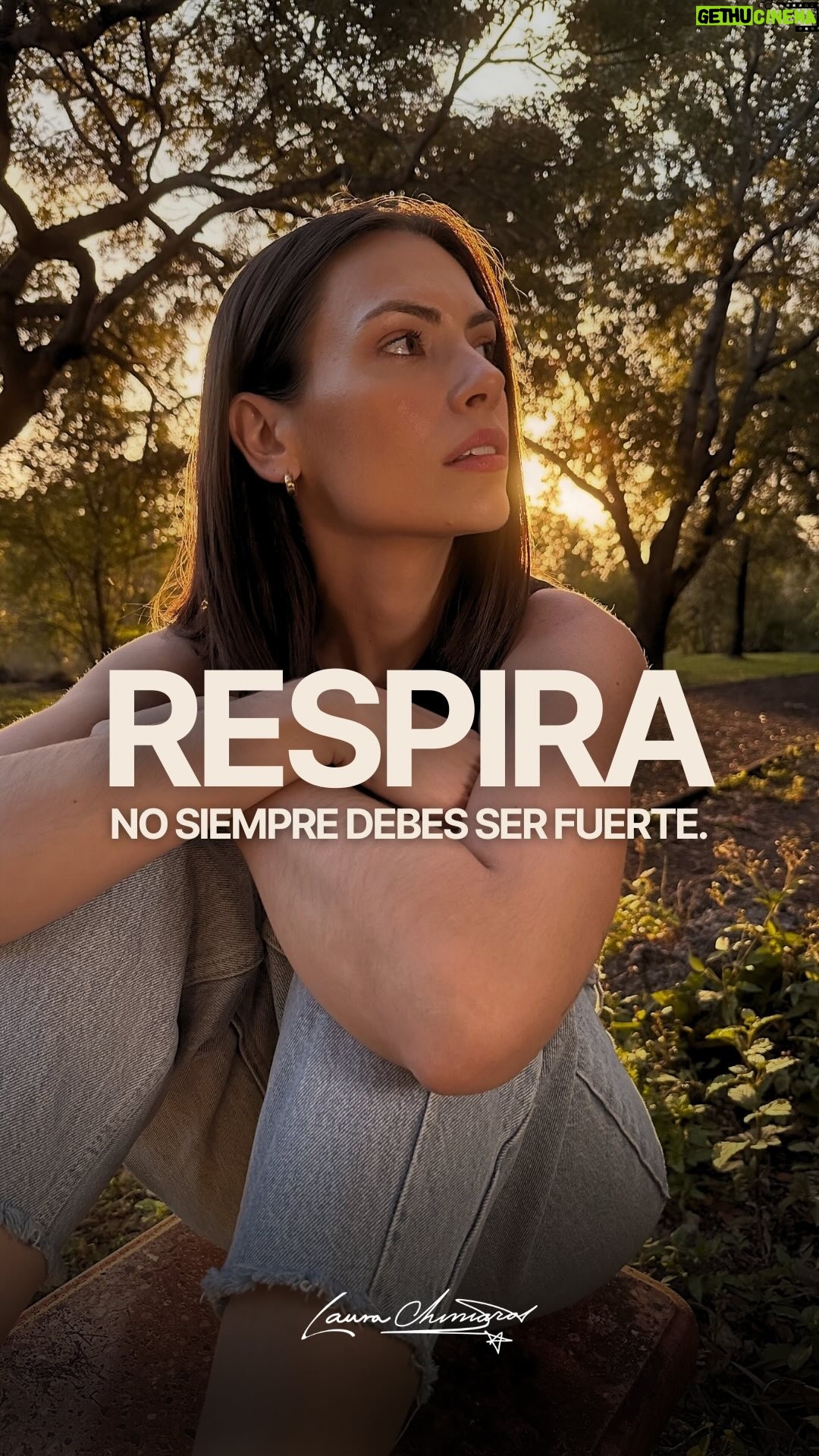Laura Chimaras - 82.9K Likes - Respira… no siempre debes ser fuerte.
A veces necesitamos a alguien que nos salve de nosotros mismos🖤
#chimaraslaura #poeta #poema #poesías #poemas #fuerte #eresfuerte #respira #poesía #reflexión