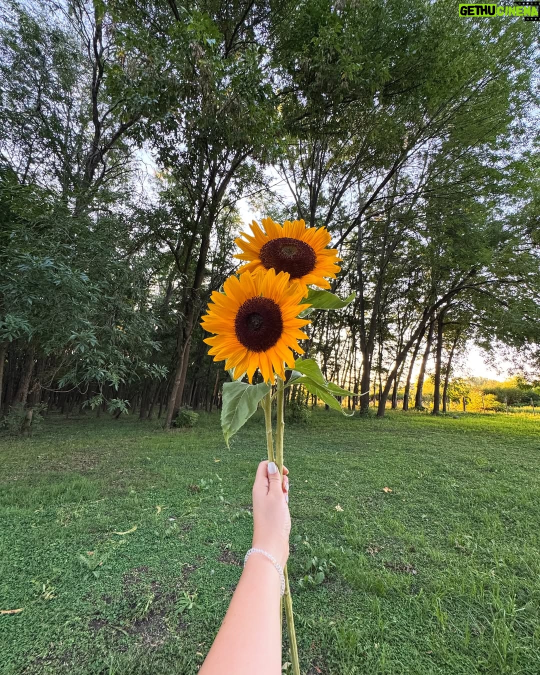 Laura Esquivel - 9.6K Likes - 🌻 el mes pasado estuvimos rodando cositas para algo que se viene (no veo la hora de que lo compartamos juntxs.. se mueren de amor 🥹🫶🏻). en el último video del dump, hay una info loca que no me imaginé que me iba a pasar 😳
un equipo soñado
el Dire @gus.nuniez agarrando la pala jajaja
@zeketrinidad
@moises.martineez
@themoodmove
y papá que me acompañó como un santo todo el día 😇
