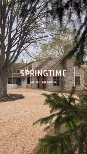 Lauren Liess Instagram - Spring has sprung at the Meadow! 🌿 trees are budding, daffodils are blooming, we’re cooking from the land, and the goslings are almost geese!! We’ve waited so long for this spring to bloom and I’m overjoyed it’s here!! 🫶 happy spring to you sweet friends!! #themeadowhouse #fairytalemodern #themeadow  We’re back to HOMEWORK   COOKING Tuesdays (starting next week!) and THE MEADOW on thursdays. Xo 🌿