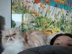Lee El Instagram - _
굿모닝#김망고똥고아들내미마마냥꼬절미절미인절미순둥이짠짠둥이