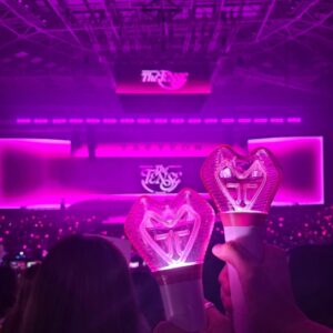 Lee Eun-jae Instagram - 응언이랑 태연 선배 콘서트💘 쩐다 쩔어