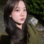 Lee Jae-si