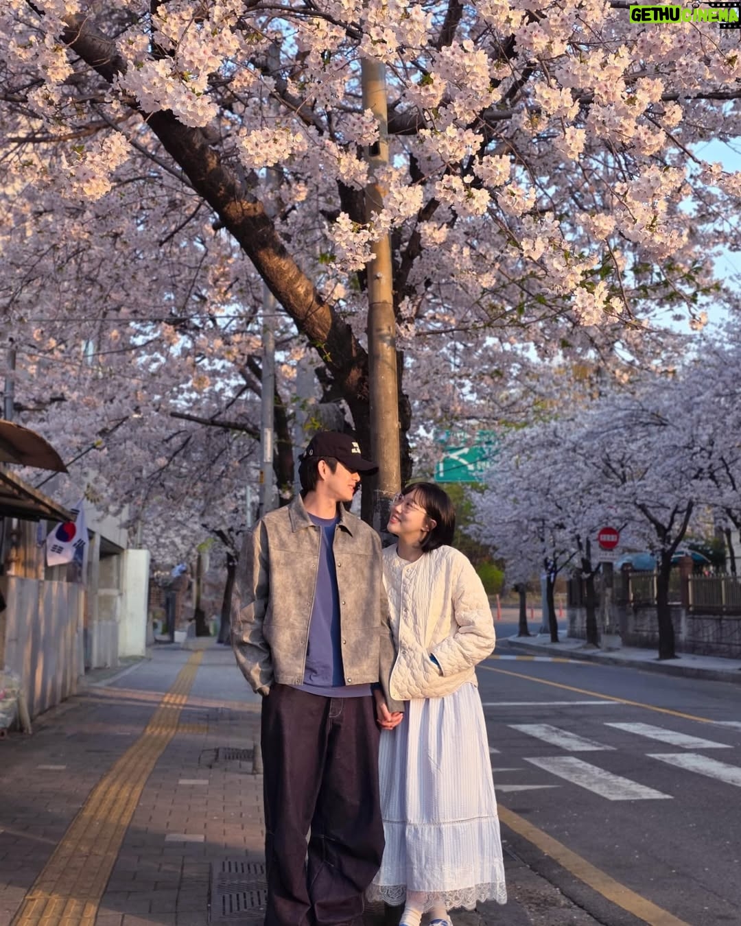Lim La-la - 27.7K Likes - 🌸둘만의 벚꽃엔딩🌸 예전엔 벚꽃만큼 이뻐보이고 싶었는데 지금은 생얼로 편의점 가는 길에
그냥 하나 찍을까?ㅋㅋㅋ
11년째 벚꽃은 예쁘고,
우린 익숙하고,
그래도 여전히 같이 본다.
함께 피고 지는 계절이 고마운 하루🩷
For the 11th year,
the cherry blossoms are still beautiful,
we’ve grown familiar,
but we’re still here, watching them together.
#11번째 #벚꽃 #합정 #망원 #희우정로
#엔조이커플 #손민수 #임라라 #합정벚꽃