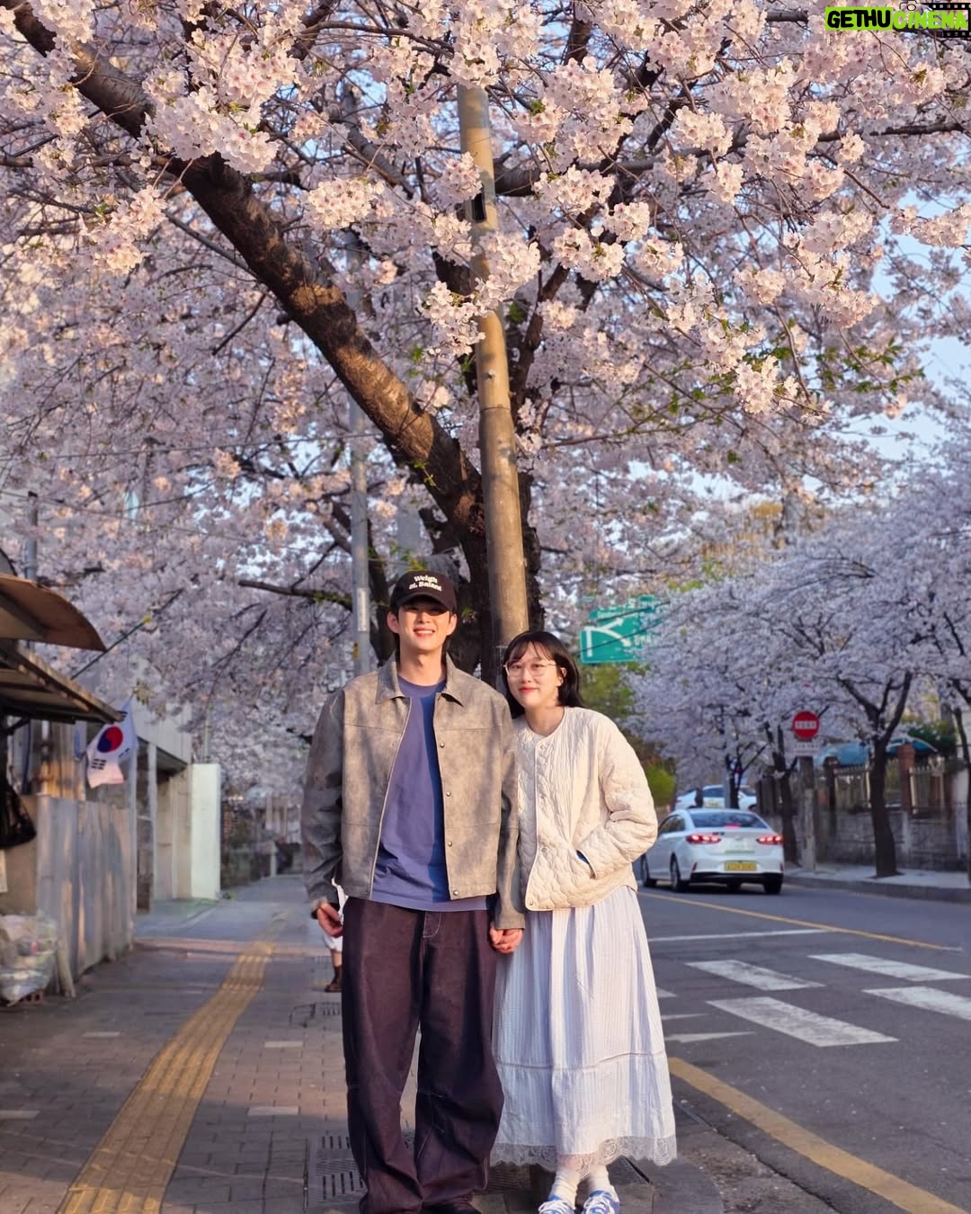Lim La-la - 27.7K Likes - 🌸둘만의 벚꽃엔딩🌸 예전엔 벚꽃만큼 이뻐보이고 싶었는데 지금은 생얼로 편의점 가는 길에
그냥 하나 찍을까?ㅋㅋㅋ
11년째 벚꽃은 예쁘고,
우린 익숙하고,
그래도 여전히 같이 본다.
함께 피고 지는 계절이 고마운 하루🩷
For the 11th year,
the cherry blossoms are still beautiful,
we’ve grown familiar,
but we’re still here, watching them together.
#11번째 #벚꽃 #합정 #망원 #희우정로
#엔조이커플 #손민수 #임라라 #합정벚꽃