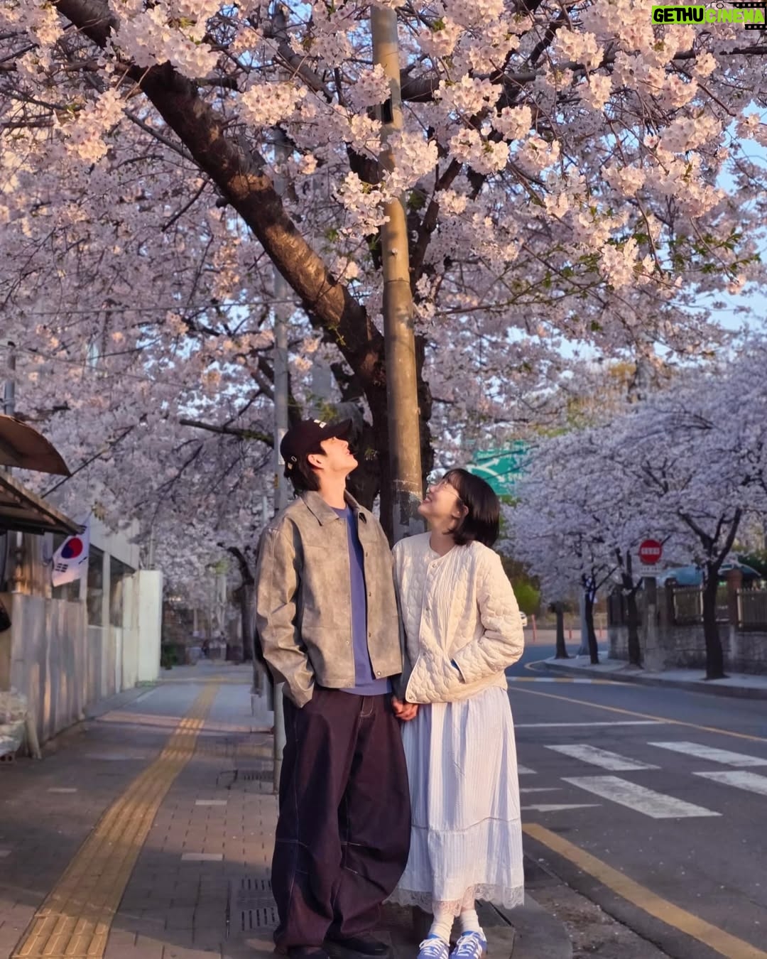 Lim La-la - 27.7K Likes - 🌸둘만의 벚꽃엔딩🌸 예전엔 벚꽃만큼 이뻐보이고 싶었는데 지금은 생얼로 편의점 가는 길에
그냥 하나 찍을까?ㅋㅋㅋ
11년째 벚꽃은 예쁘고,
우린 익숙하고,
그래도 여전히 같이 본다.
함께 피고 지는 계절이 고마운 하루🩷
For the 11th year,
the cherry blossoms are still beautiful,
we’ve grown familiar,
but we’re still here, watching them together.
#11번째 #벚꽃 #합정 #망원 #희우정로
#엔조이커플 #손민수 #임라라 #합정벚꽃