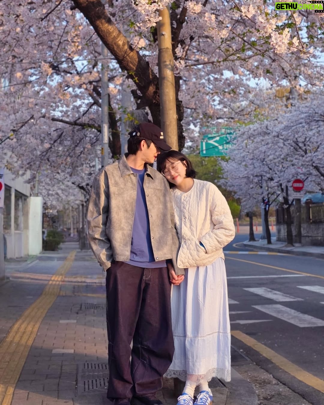 Lim La-la - 27.7K Likes - 🌸둘만의 벚꽃엔딩🌸 예전엔 벚꽃만큼 이뻐보이고 싶었는데 지금은 생얼로 편의점 가는 길에
그냥 하나 찍을까?ㅋㅋㅋ
11년째 벚꽃은 예쁘고,
우린 익숙하고,
그래도 여전히 같이 본다.
함께 피고 지는 계절이 고마운 하루🩷
For the 11th year,
the cherry blossoms are still beautiful,
we’ve grown familiar,
but we’re still here, watching them together.
#11번째 #벚꽃 #합정 #망원 #희우정로
#엔조이커플 #손민수 #임라라 #합정벚꽃