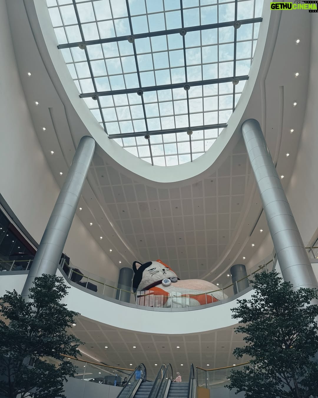Lin Chenyi - 9.6K Likes - 關於上一篇說到的Solaire,真的很想再多分享一些細節。
在這裡完全不用擔心交通問題,有專車服務可以接送,不論是市區、必去的SM Mall或是王城區都能想去就去。
我的第一站便選擇王城區,為了尋找菲律賓的淵源,來到了記錄關於菲律賓華人曾經在這裡生活的貢獻與當地殖民文化的菲華歷史博物館,還有超過百年仍如畫般美麗的西班牙式二層石頭小樓,依舊矗立於喧鬧小販街上的最古老的釀酒廠,滿滿的歷史蹤跡至今回想起來依然意猶未盡!
除此之外,Solaire渡假村本身就有許多娛樂設施與餐廳,在這裡待個一週不出門都沒問題,白天可以安排個一天逛逛精品街,結束後再來個愜意下午茶,放慢步調讓身心都能放鬆,才是出遊的目的;偶爾想運動也能去Villa泳池或VIP健身房。
還有這裡的高級娛樂區也很有意思,有許多新的玩法,其中有一款讓我印象深刻,它的玩法就像德州撲克,但唯一不一樣的是只跟荷官比牌力,玩法是Flop一定要下注碼才可以看翻牌,但是到了轉牌你可以決定要Check或是持續下注,河牌也不會因為你轉牌Check就不能下注,所以你完全可以掌控每一個回合的正負籌碼量!
但最有趣的當然還是與朋友們一起享受鬥智的過程,彷彿一同上戰場的革命友軍,讓人熱血沸騰!
說到沸騰便讓人想起,這裡還有一個讓心跳加速的娛樂設施「Sky Range」,在射擊遊戲上看過的槍型,都擺在眼前任你挑選,讓你實際感受真槍實彈的後座力與命中紅心的成就快感~
因為Solaire的娛樂設施真的很多,如果說最喜歡的設施,那一定是VIP SPA!獨特的油壓手法讓人欲罷不能,從頭到尾沒有一絲的鬆懈,謹慎地按摩每一個部位,讓人不愛都不行!
謝謝Solaire帶來的這趟體驗,也謝謝宇宙的能量,在這趟旅途帶給我一群志同道合的朋友們🫶🏻
#SolaireResort
#SolaireExperience
#TheShoppesatSolaire
#skyrangeatsolaire