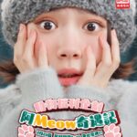 Lin Min-Chen