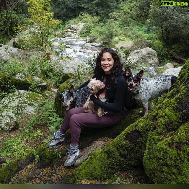 Lore Graniewicz - 1.2K Likes - Creo y lo creo 🎇
Agradecida y enormemente feliz
