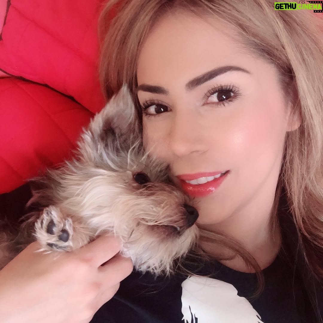 Lore Graniewicz - 4.2K Likes - Voy a crear la vida que merezco, no importa cuantos miedos cueste 🙏🏻 Gracias @benefitmexico por mi delineador de ceja y tinta de labios los amo!!!! Quedan increíbles.
#browpencil #benetintph
@sd.talent #preciselymybrowpencil #benetint