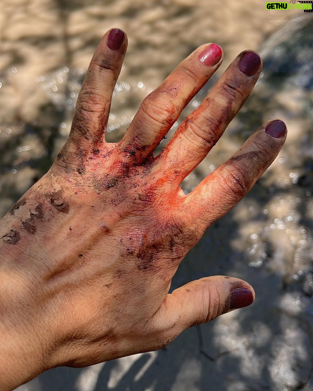 Lorena Capetillo - 11.6K Likes - Así fue la última jornada de Alicia :)
La mente humana no deja de sorprenderme, sus lugares pantanosos tampoco…
Cuando un ser humano habita la oscuridad de las obsesiones a partir de traumas no resueltos, parece ser una pesadilla, un veneno que recorre el cuerpo, que hace creer que no se puede despertar…
Gracias @nicolas_alemparte y @bdellaschiava por la impecable dirección y conversaciones ante cada una de mis preguntas 😆
Al equipo completo. A mis compañeros en el set, cada escena se descubre junto a ell@s y por más que preparas cosas en casa, llegas a grabar y todos los estímulos desatan una creación completamente nueva…eso es magia.
Gracias @pillanes por escribir sin límites, y crear un universo de personajes llenos de candor y oscuridad …es la humanidad, no..?
Gracias @camilamakeup por dejarme espectacularmente destruida
Gracias @draloretoneves por acompañarme en la última parte del camino y construir este peak de obsesiones y comportamientos sicopaticos juntas ✨🤗
Ame a esta mujer atrapada.
Muchas veces pensé…quizás, solo si quizás hubiese sido tratada con un poquito más de dignidad , quizás, todo hubiese sido diferente…
En una parte del camino me angustio pensar que alguien crea que no hay salida para resolver algo en la vida …porque quiero creer que la hay. Hay salida…si necesitas ayuda no dudes en pedirla. Hay espacios que ofrecen servicios gratuitos de salud mental en internet…
En cuanto a la infidelidad, el porcentaje en Chile es alto. Fueron muchas personas que se me acercaron o me escribieron para hablarme de que ellas eran Alicia, o tenían a alguien así en la familia…
No es que no deba existir el matrimonio. La reflexión en torno a esto es honda, y da para que nos sentemos a hablar mucho rato…
Cada vez más me convenzo de lo suaves que tenemos que ser los seres humanos entre nosotros…en la intimidad tratarnos con suavidad el alma…sobre todo en los momentos más difíciles…
Gracias a uds por ver esta teleserie cada noche, espero que la sigan disfrutando hasta el final ♥️🤗