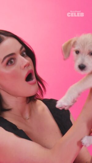 Lucy Hale Instagram - Stop what you’re doing because Lucy Hale’s Puppy Interview is officially OUT! 🐾 🎉 Click the link in bio to watch it now on BuzzFeed Celeb! #LucyHale #PuppyInterview #FMarryKill