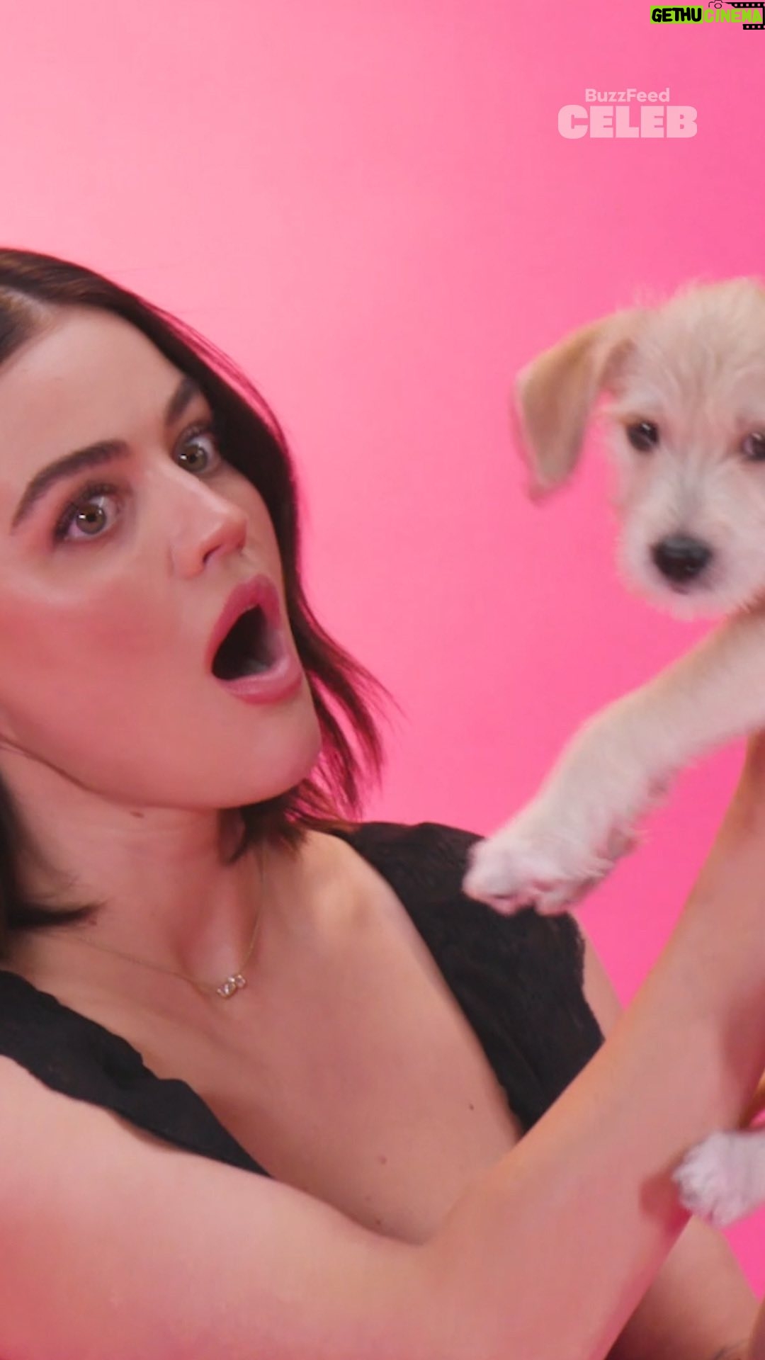 Lucy Hale - 32K Likes - Stop what you’re doing because Lucy Hale’s Puppy Interview is officially OUT! 🐾 🎉 Click the link in bio to watch it now on BuzzFeed Celeb! #LucyHale #PuppyInterview #FMarryKill