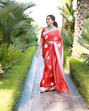 Madhuri Dixit Instagram - Golden hour, golden glow, and a heart full of sunshine. ☀️ 

#tuesday #tuesdaythoughts #sareelove #sunshine #photoshoot #photooftheday