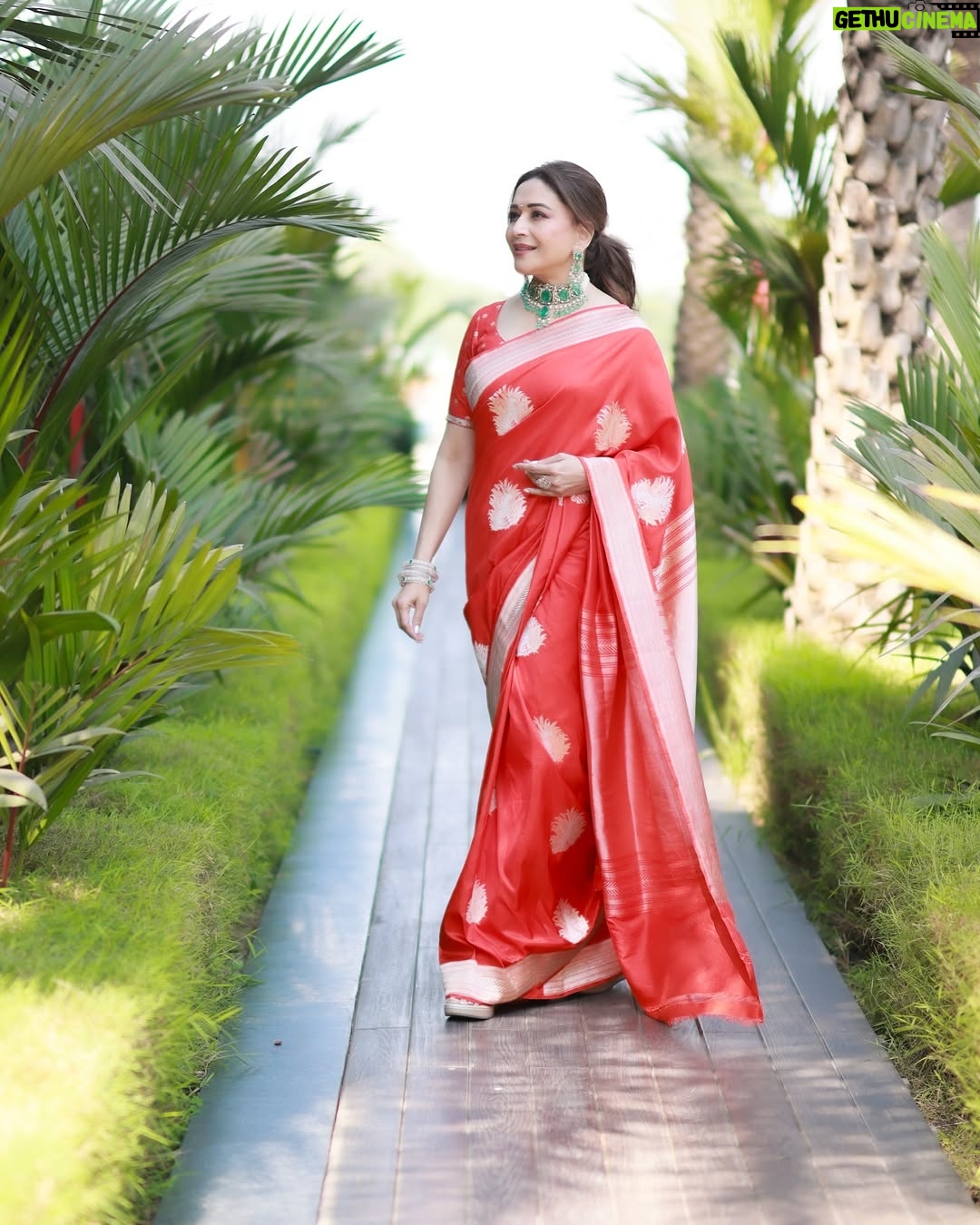 Madhuri Dixit - 488.4K Likes - Golden hour, golden glow, and a heart full of sunshine. ☀️
#tuesday #tuesdaythoughts #sareelove #sunshine #photoshoot #photooftheday